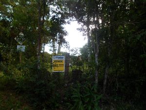 Image 0 - 102708