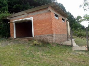 Image 4 - 102892