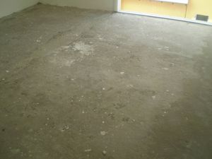 Image 19 - 102906
