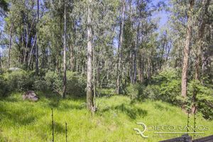 Image 7 - 103433