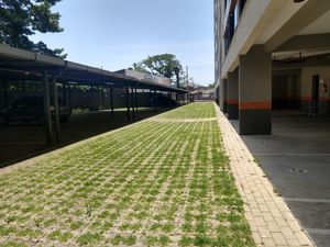 Image 33 - 103519