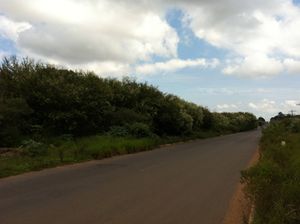 Image 3 - 104043