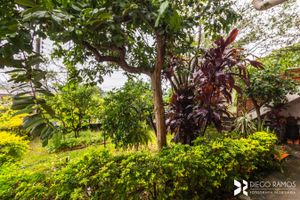 Image 4 - 10427
