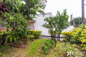 Image 45 - 10427