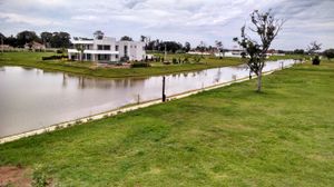 Image 52 - 104753