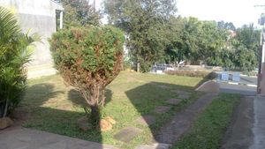Image 8 - 105842