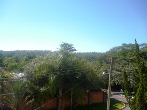 Image 39 - 106239