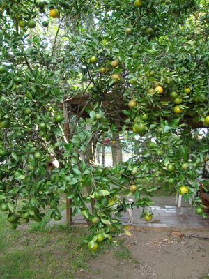 Image 5 - 106530