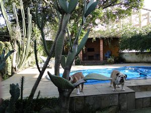 Image 4 - 107011