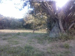 Image 3 - 107042