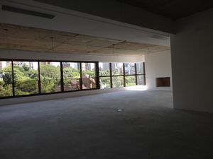 Image 31 - 10730
