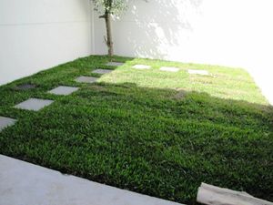 Image 52 - 107927