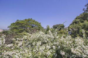 Image 71 - 108525