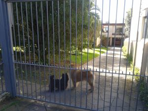 Image 2 - 109697