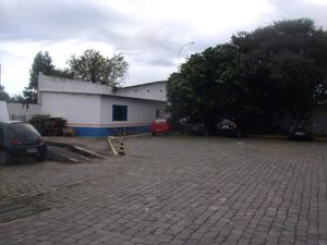Image 10 - 110062