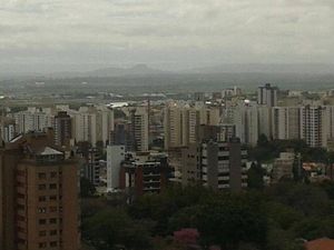 Image 37 - 110787