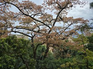 Image 27 - 111623