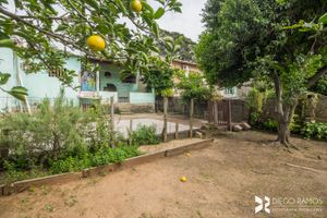 Image 33 - 112603