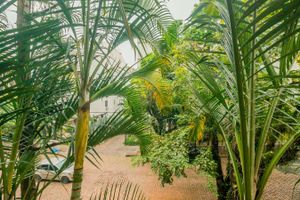 Image 8 - 11270