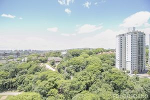 Image 9 - 113037