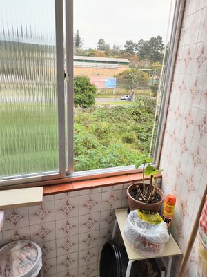 Image 18 - 113081