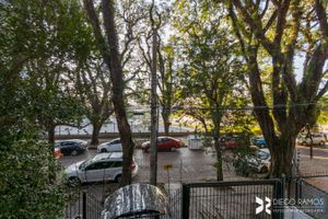 Image 17 - 113318