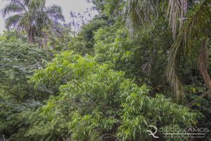Image 10 - 113452