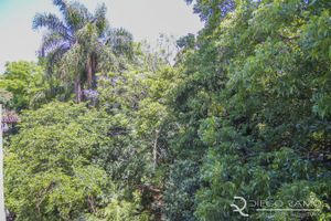 Image 23 - 113452