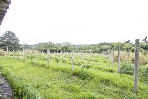 Image 10 - 114005