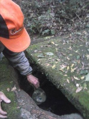 Image 8 - 114005