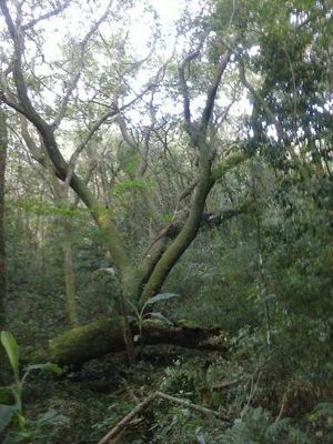 Image 4 - 114005