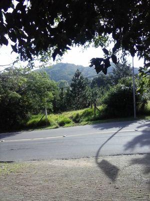 Image 13 - 114005