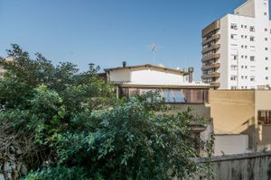 Image 12 - 114253