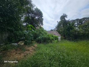 Image 14 - 114404