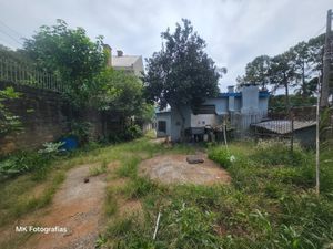 Image 6 - 114404