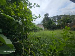 Image 5 - 114404