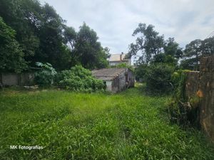 Image 13 - 114404