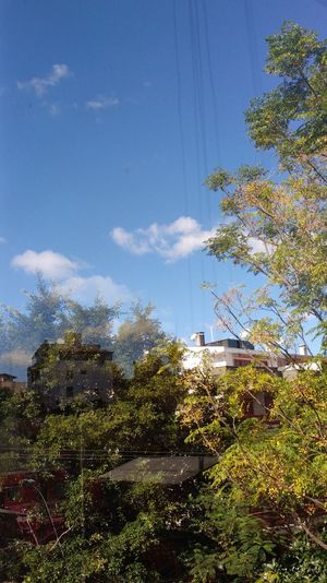 Image 16 - 114749