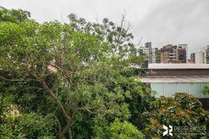 Image 9 - 115823