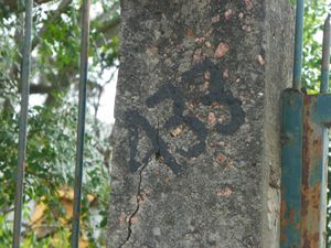Image 3 - 116816