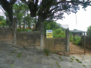 Image 5 - 116816