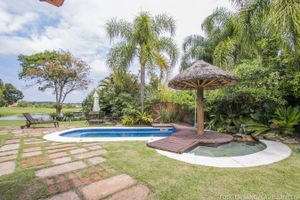 Image 16 - 117495