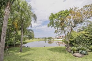 Image 19 - 117495