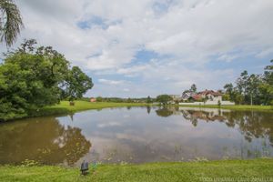 Image 20 - 117495