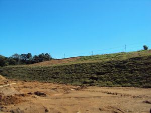 Image 5 - 117786