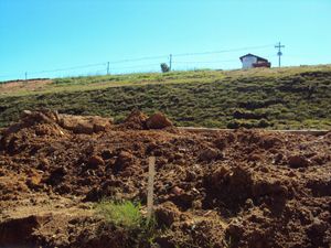Image 3 - 117786