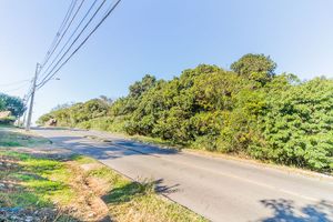 Image 10 - 117786