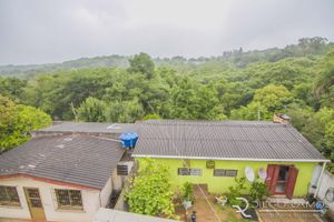 Image 19 - 118123
