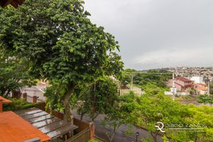 Image 24 - 118641