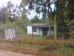 Image 7 - 118815